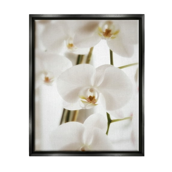Stupell Elegant White Orchid Petals Botanical & Floral Photography Black Floater Framed Art Print Wall Art