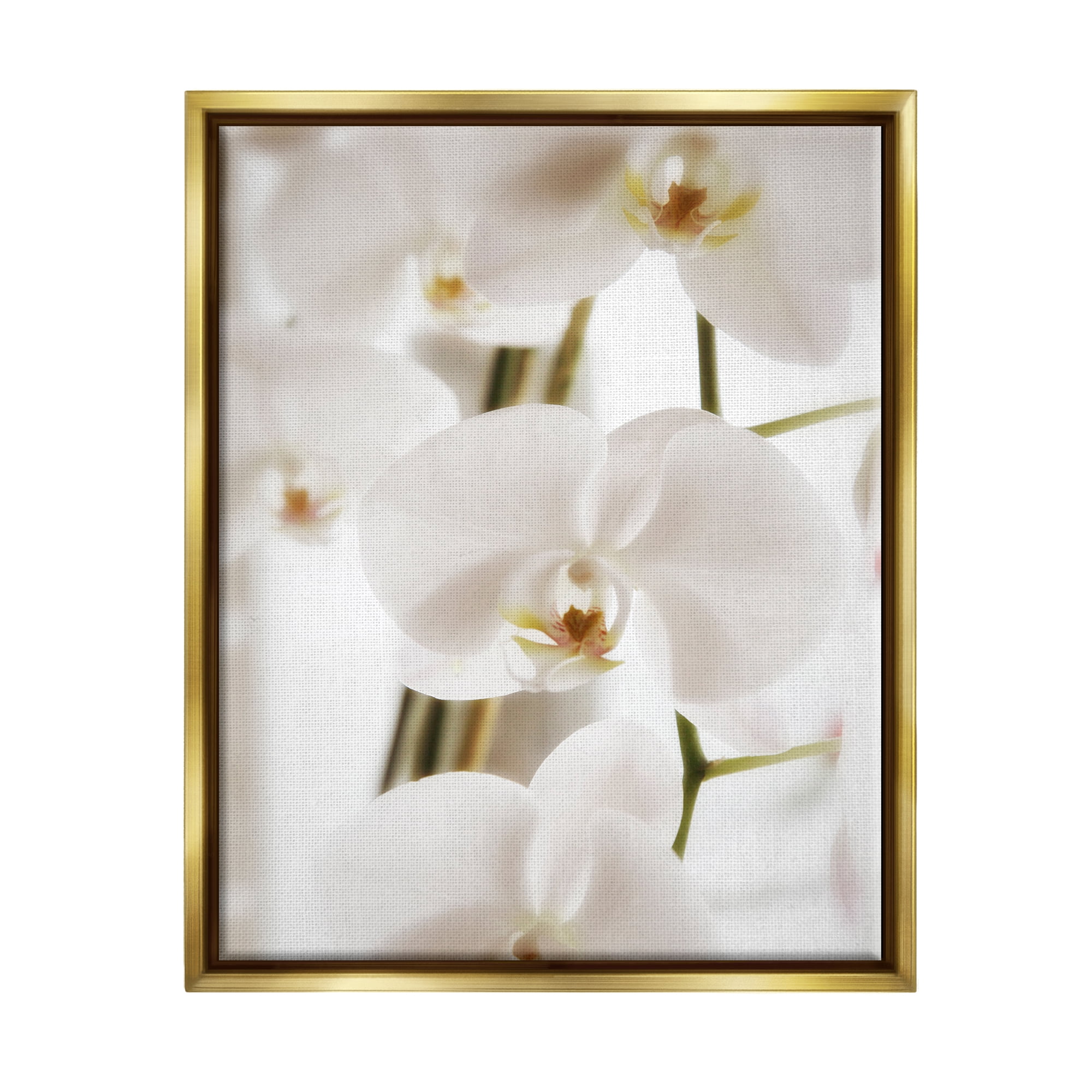 Stupell Elegant White Orchid Petals Botanical & Floral Photography Gold Floater Framed Art Print Wall Art