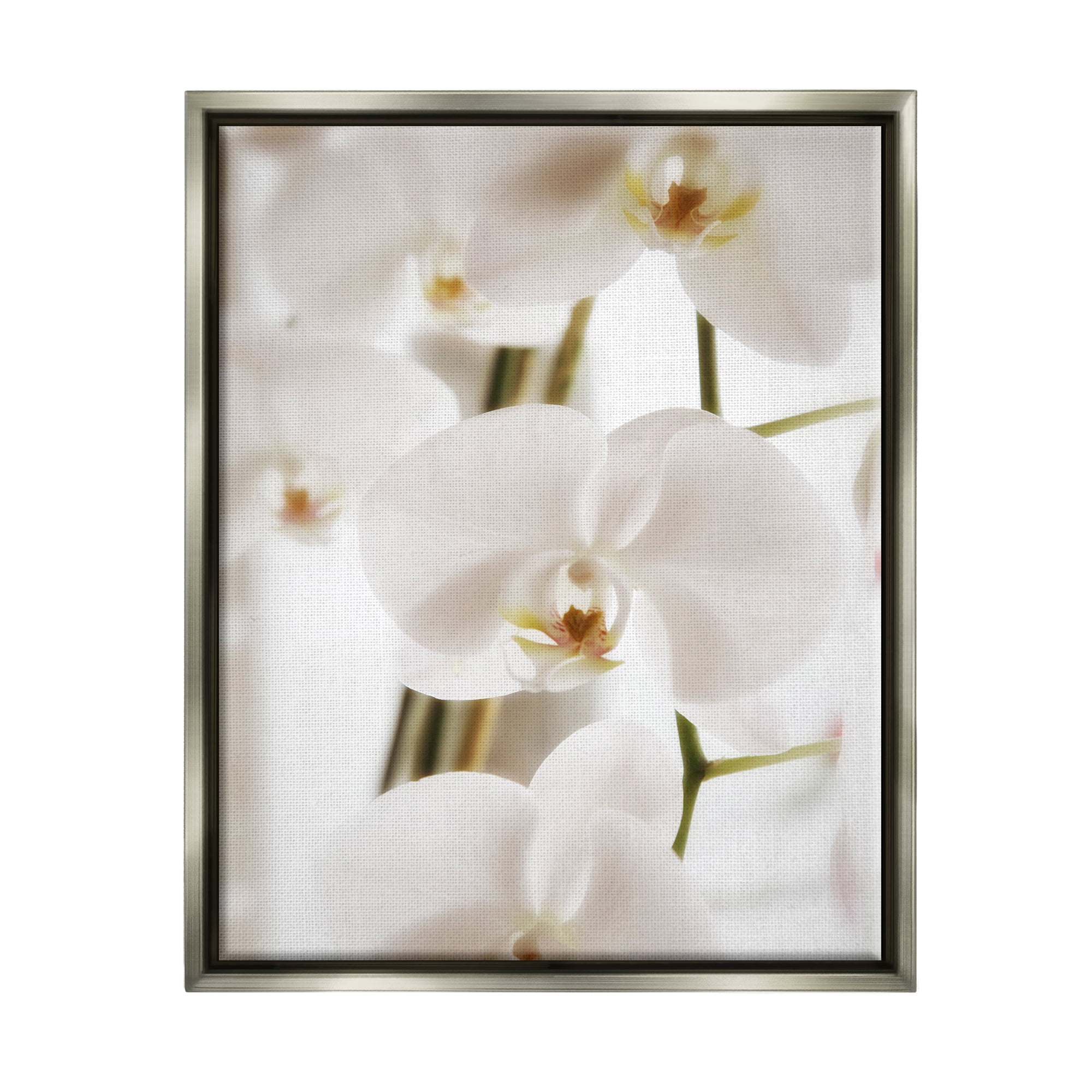 Stupell Elegant White Orchid Petals Botanical & Floral Photography Gray Floater Framed Art Print Wall Art