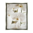 thumbnail image 1 of Stupell Elegant White Orchid Petals Botanical & Floral Photography Gray Floater Framed Art Print Wall Art, 1 of 6