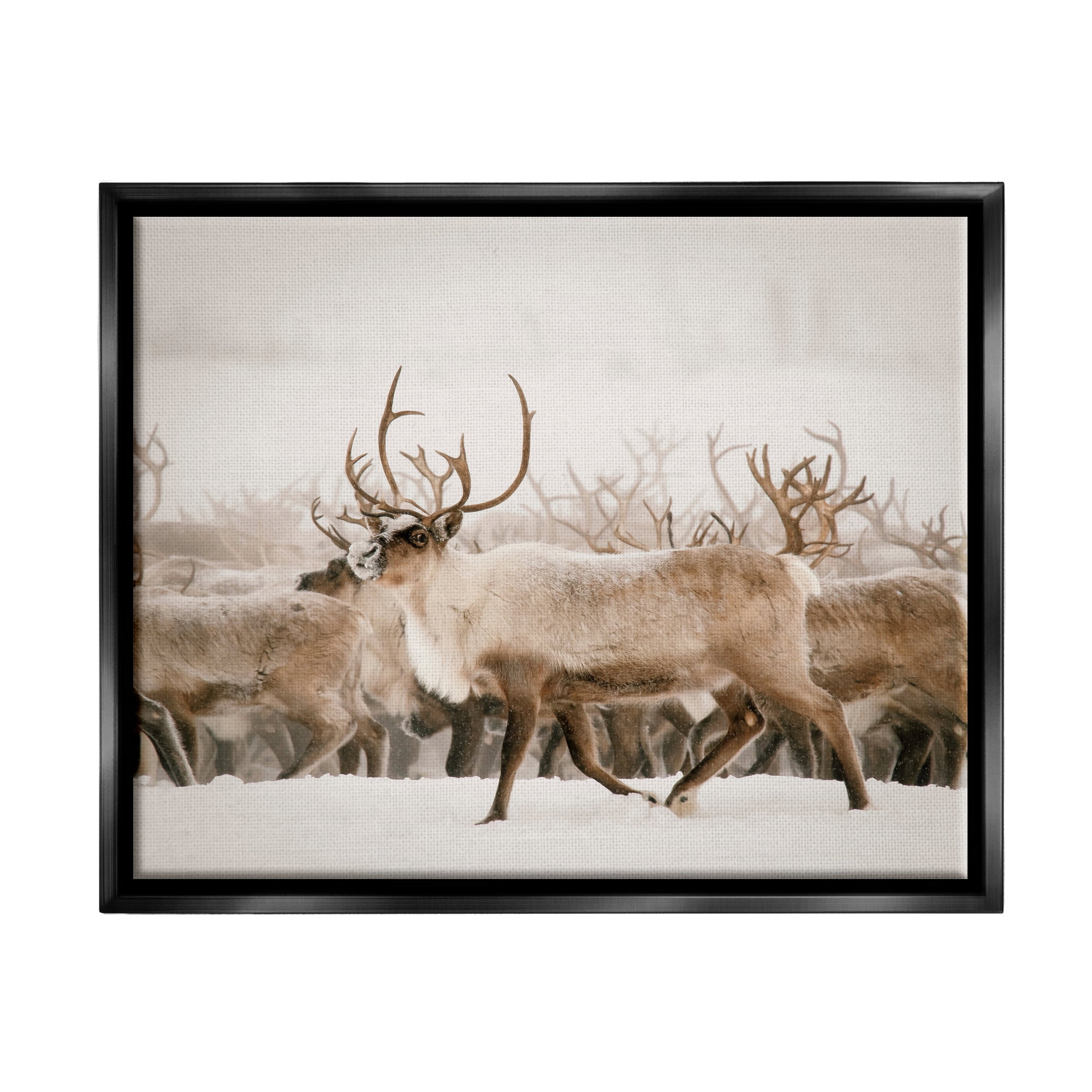 Stupell Elk Herd Snowy Winter Scene Animals & Insects Photography Black Floater Framed Art Print Wall Art