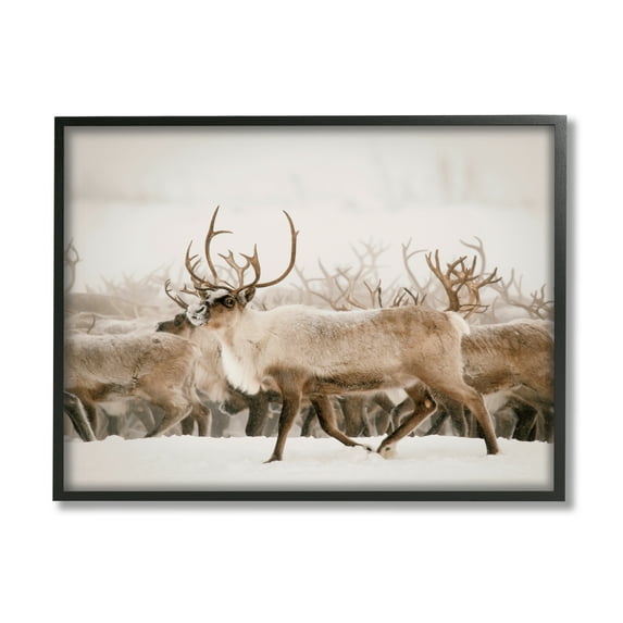 Stupell Elk Herd Snowy Winter Scene Animals & Insects Photography Black Framed Art Print Wall Art