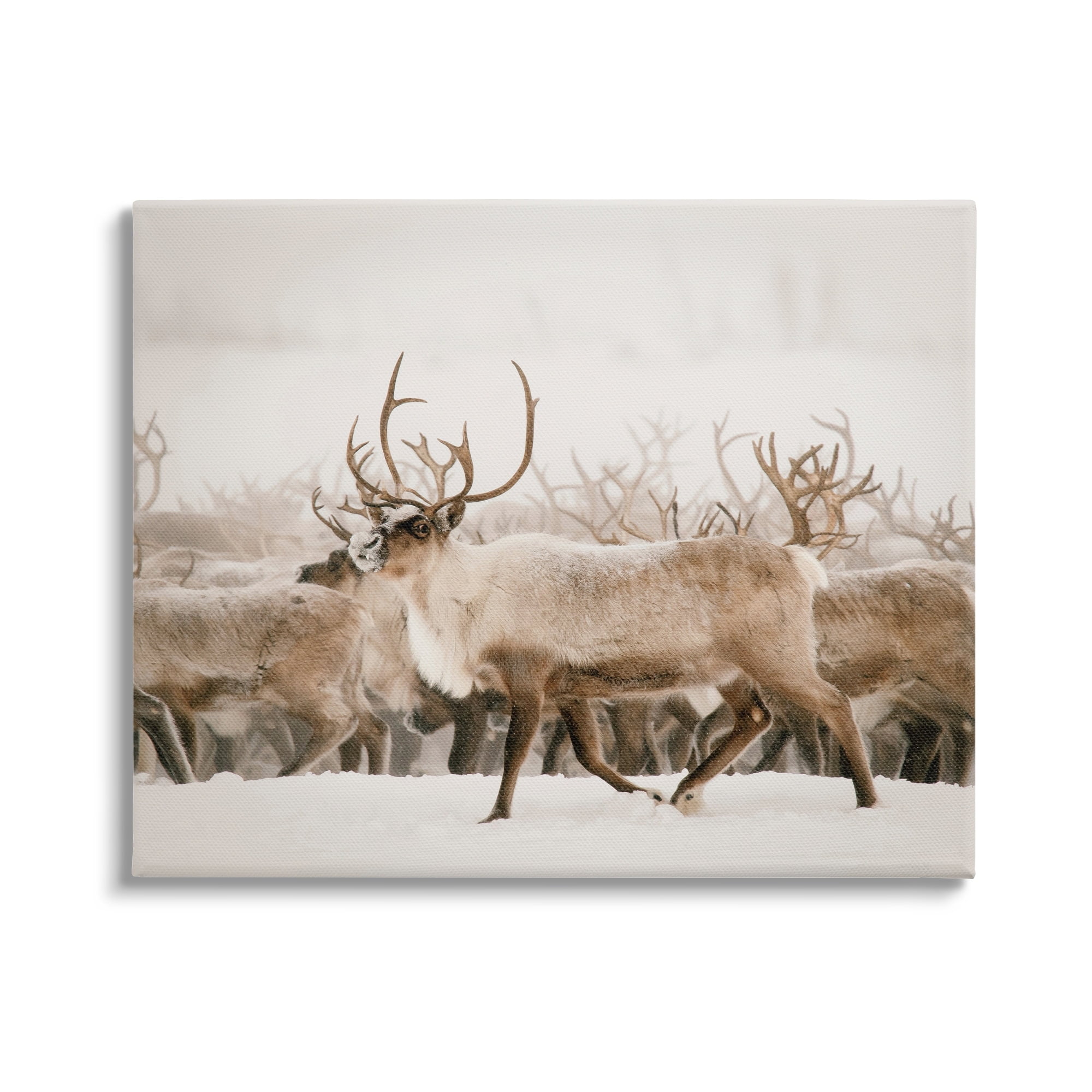 Stupell Elk Herd Snowy Winter Scene Animals & Insects Photography Gallery Wrapped Canvas Print Wall Art