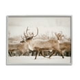 thumbnail image 1 of Stupell Elk Herd Snowy Winter Scene Animals & Insects Photography Gray Framed Art Print Wall Art, 1 of 7