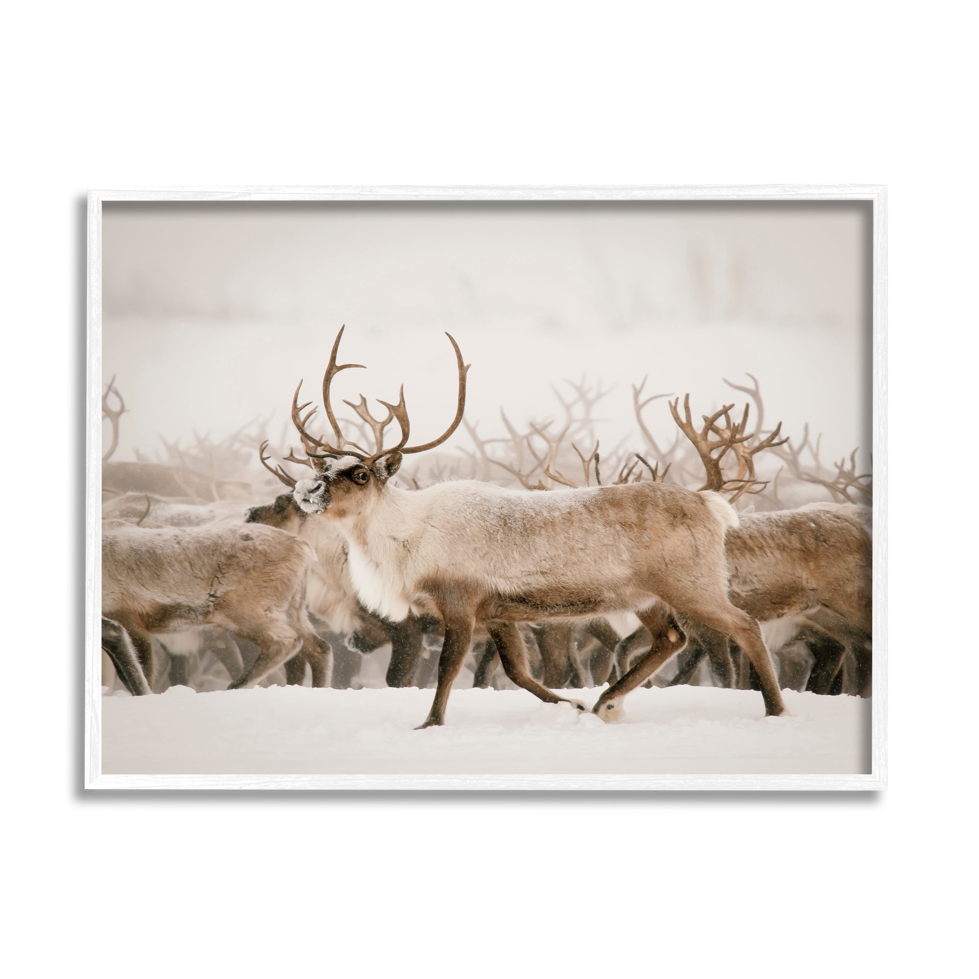 Stupell Elk Herd Snowy Winter Scene Animals & Insects Photography White Framed Art Print Wall Art
