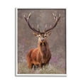 thumbnail image 1 of Stupell Elk Portrait Forest Grove Animals & Insects Painting White Framed Art Print Wall Art, 1 of 7