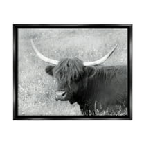 Stupell Farmhouse Cattle Highland Portrait Animals & Insects Photography Black Floater Framed Art Print Wall Art