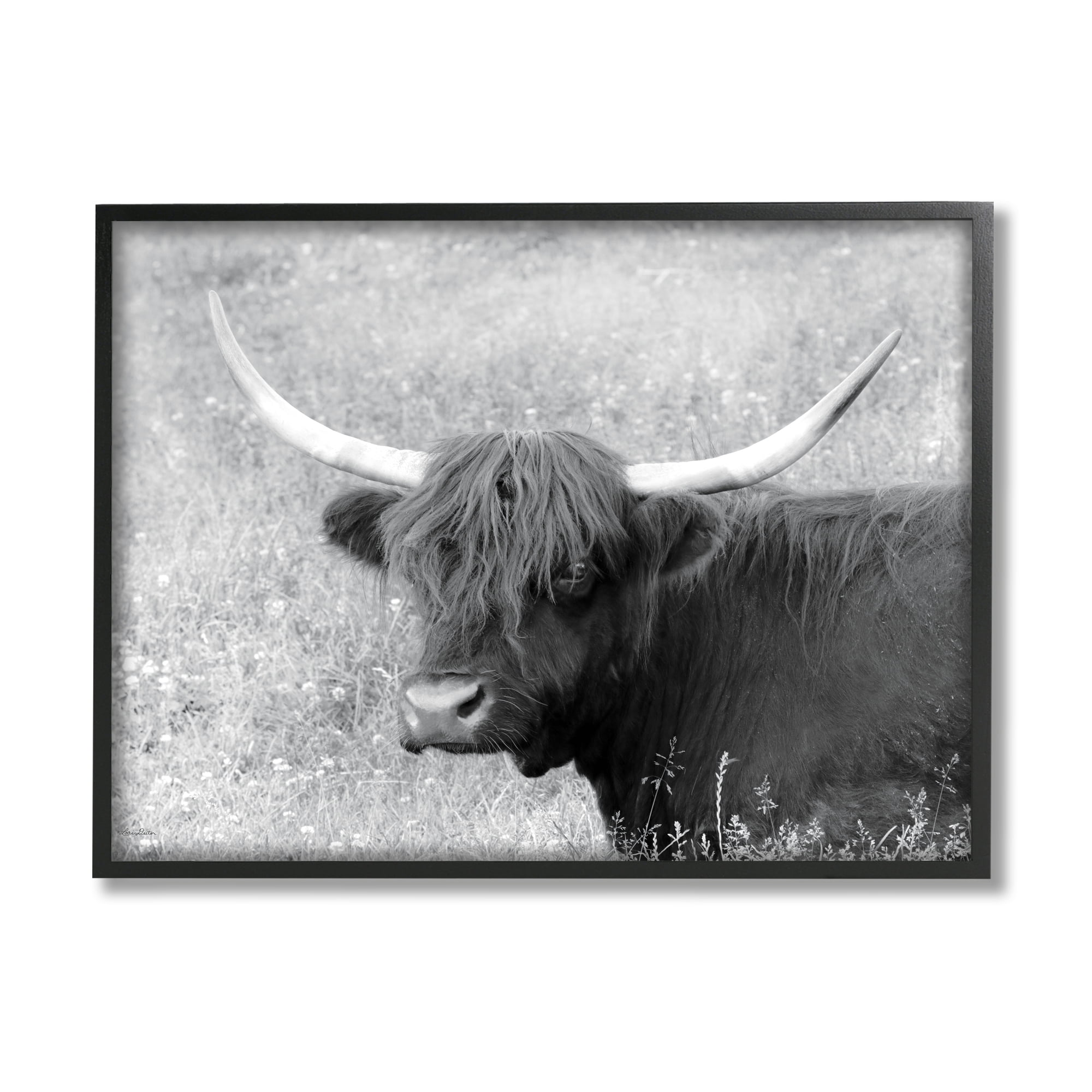 Stupell Farmhouse Cattle Highland Portrait Animals & Insects Photography Black Framed Art Print Wall Art