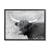 Stupell Farmhouse Cattle Highland Portrait Animals & Insects Photography Black Framed Art Print Wall Art
