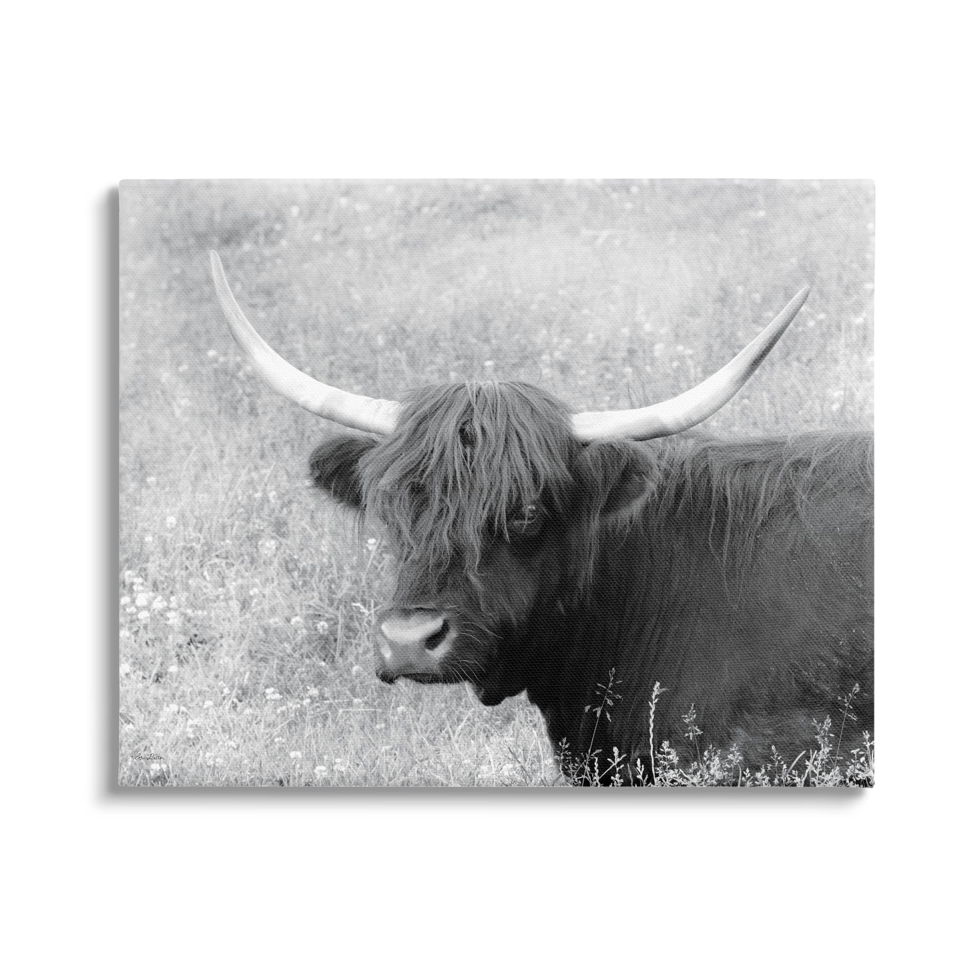 Stupell Farmhouse Cattle Highland Portrait Animals & Insects Photography Gallery Wrapped Canvas Print Wall Art