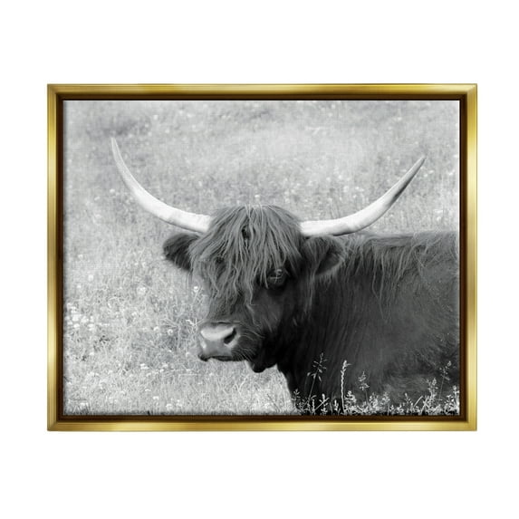 Stupell Farmhouse Cattle Highland Portrait Animals & Insects Photography Gold Floater Framed Art Print Wall Art