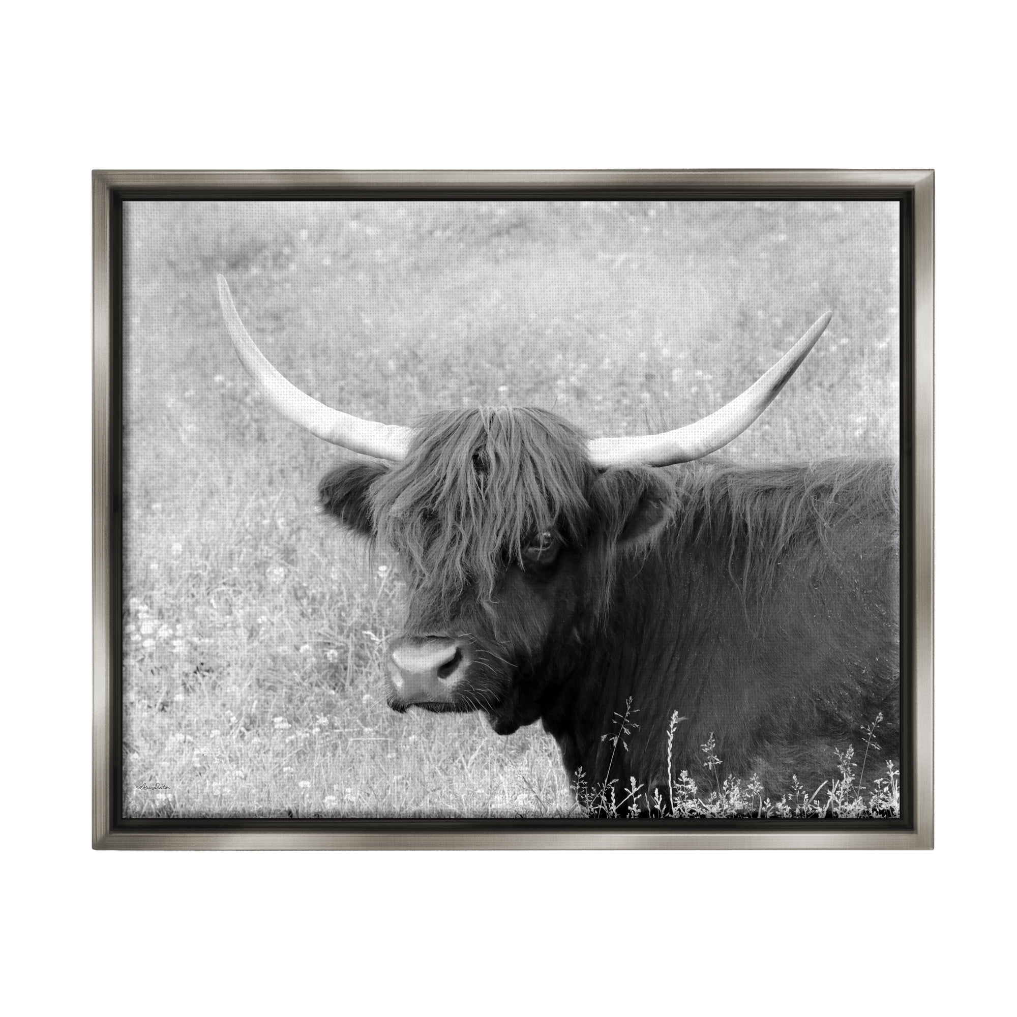 Stupell Farmhouse Cattle Highland Portrait Animals & Insects Photography Gray Floater Framed Art Print Wall Art