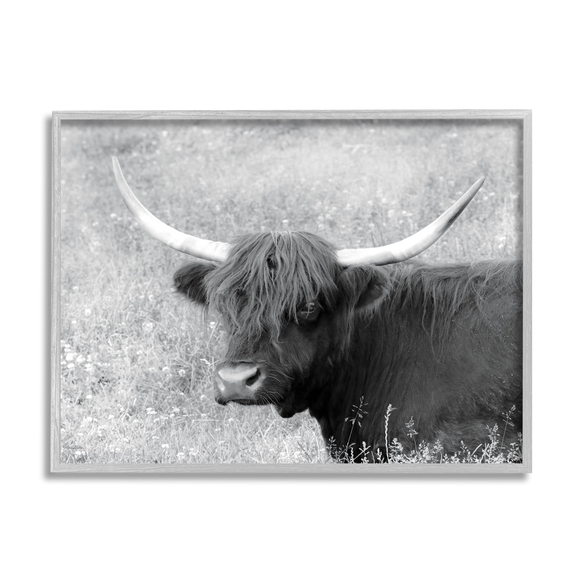 Stupell Farmhouse Cattle Highland Portrait Animals & Insects Photography Gray Framed Art Print Wall Art