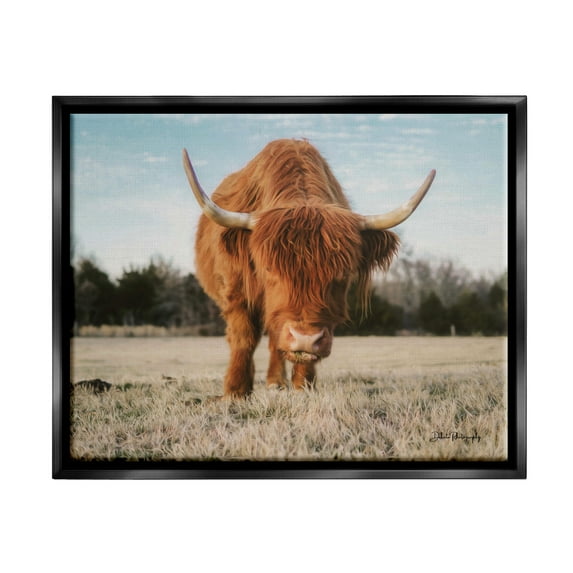 Stupell Farmhouse Highland Cattle Ranch Animals & Insects Photography Black Floater Framed Art Print Wall Art