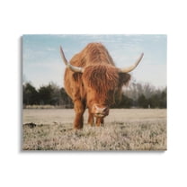 Stupell Farmhouse Highland Cattle Ranch Animals & Insects Photography Gallery Wrapped Canvas Print Wall Art