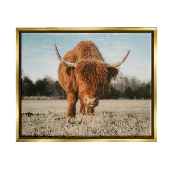 Stupell Farmhouse Highland Cattle Ranch Animals & Insects Photography Gold Floater Framed Art Print Wall Art