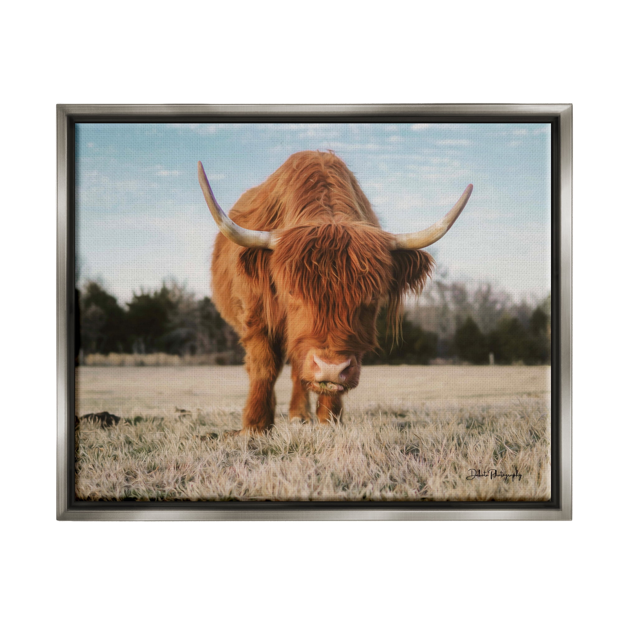 Stupell Farmhouse Highland Cattle Ranch Animals & Insects Photography Gray Floater Framed Art Print Wall Art
