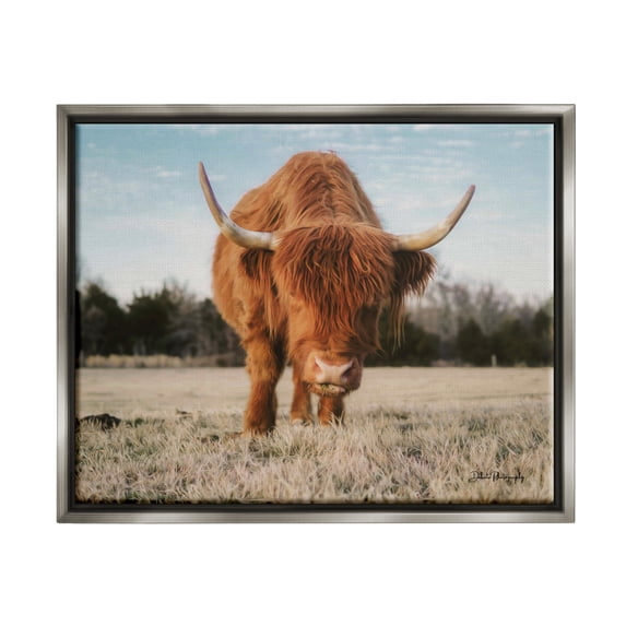 Stupell Farmhouse Highland Cattle Ranch Animals & Insects Photography Gray Floater Framed Art Print Wall Art