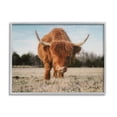thumbnail image 1 of Stupell Farmhouse Highland Cattle Ranch Animals & Insects Photography Gray Framed Art Print Wall Art, 1 of 7