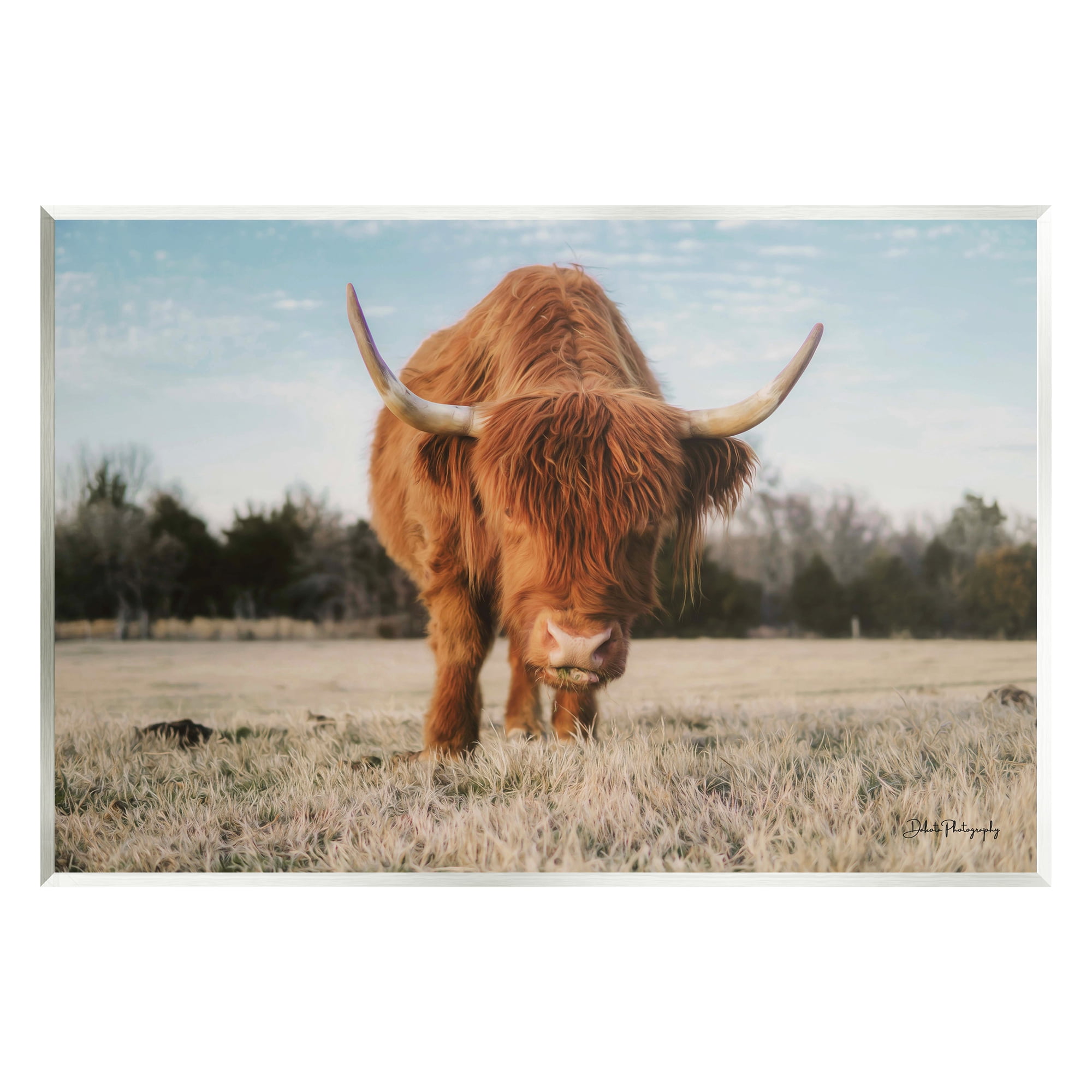 Stupell Farmhouse Highland Cattle Ranch Animals & Insects Photography Wall Plaque Unframed Art Print Wall Art
