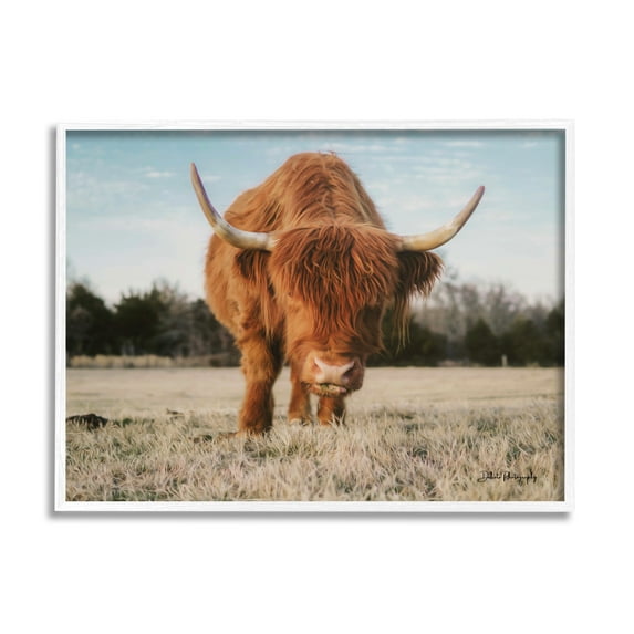 Stupell Farmhouse Highland Cattle Ranch Animals & Insects Photography White Framed Art Print Wall Art