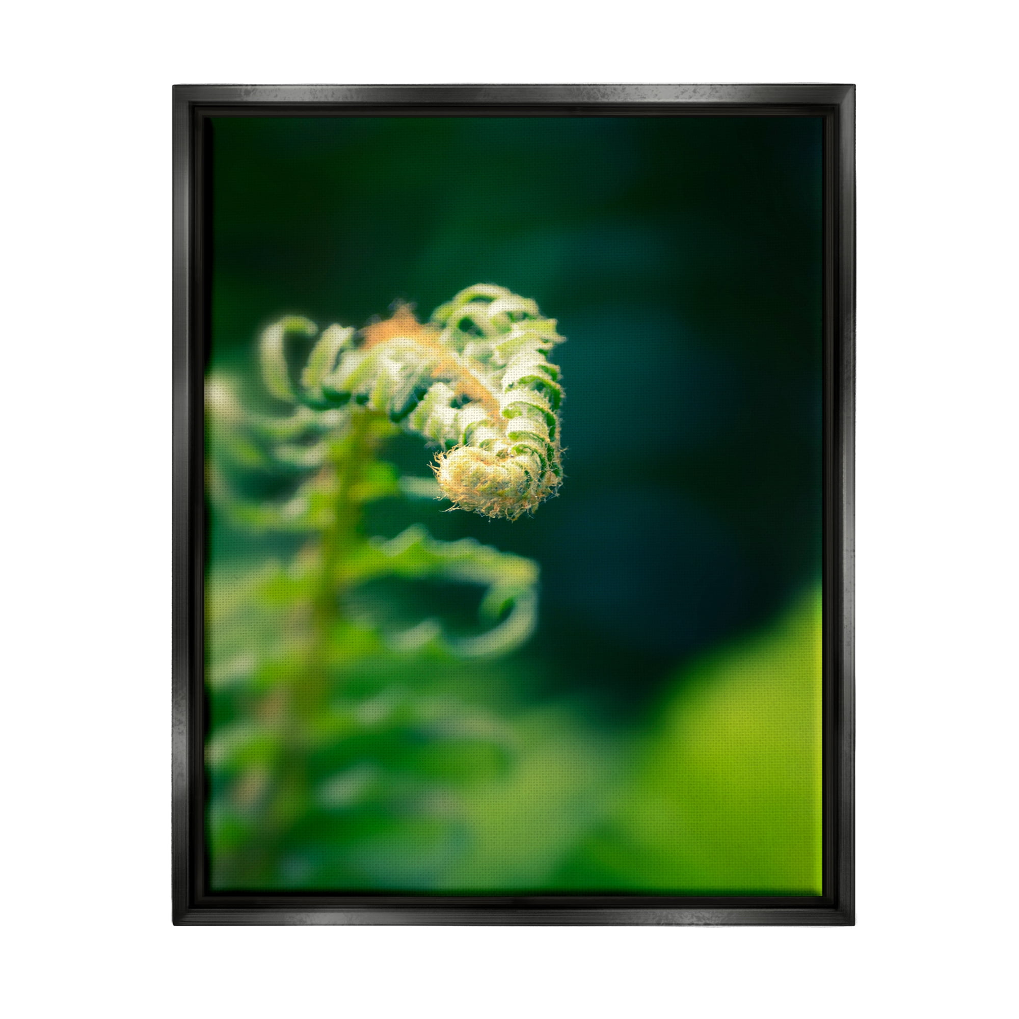 Stupell Fern Leaves Nature Photography Botanical & Floral Photography Black Floater Framed Art Print Wall Art