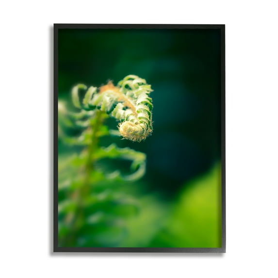 Stupell Fern Leaves Nature Photography Botanical & Floral Photography Black Framed Art Print Wall Art