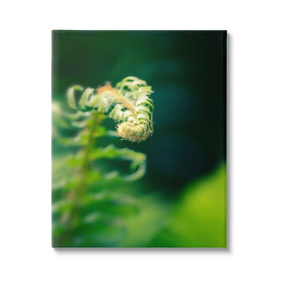 Stupell Fern Leaves Nature Photography Botanical & Floral Photography Gallery Wrapped Canvas Print Wall Art