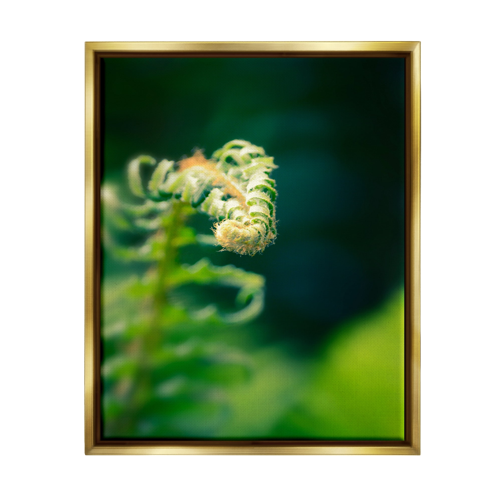 Stupell Fern Leaves Nature Photography Botanical & Floral Photography Gold Floater Framed Art Print Wall Art