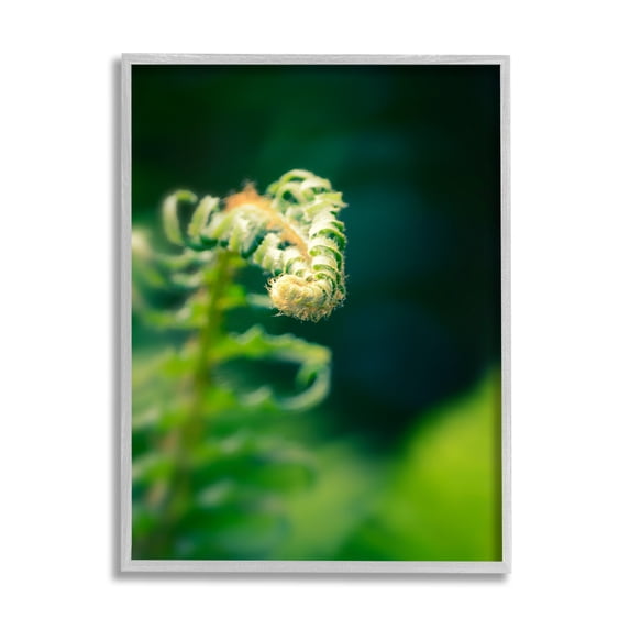 Stupell Fern Leaves Nature Photography Botanical & Floral Photography Gray Framed Art Print Wall Art