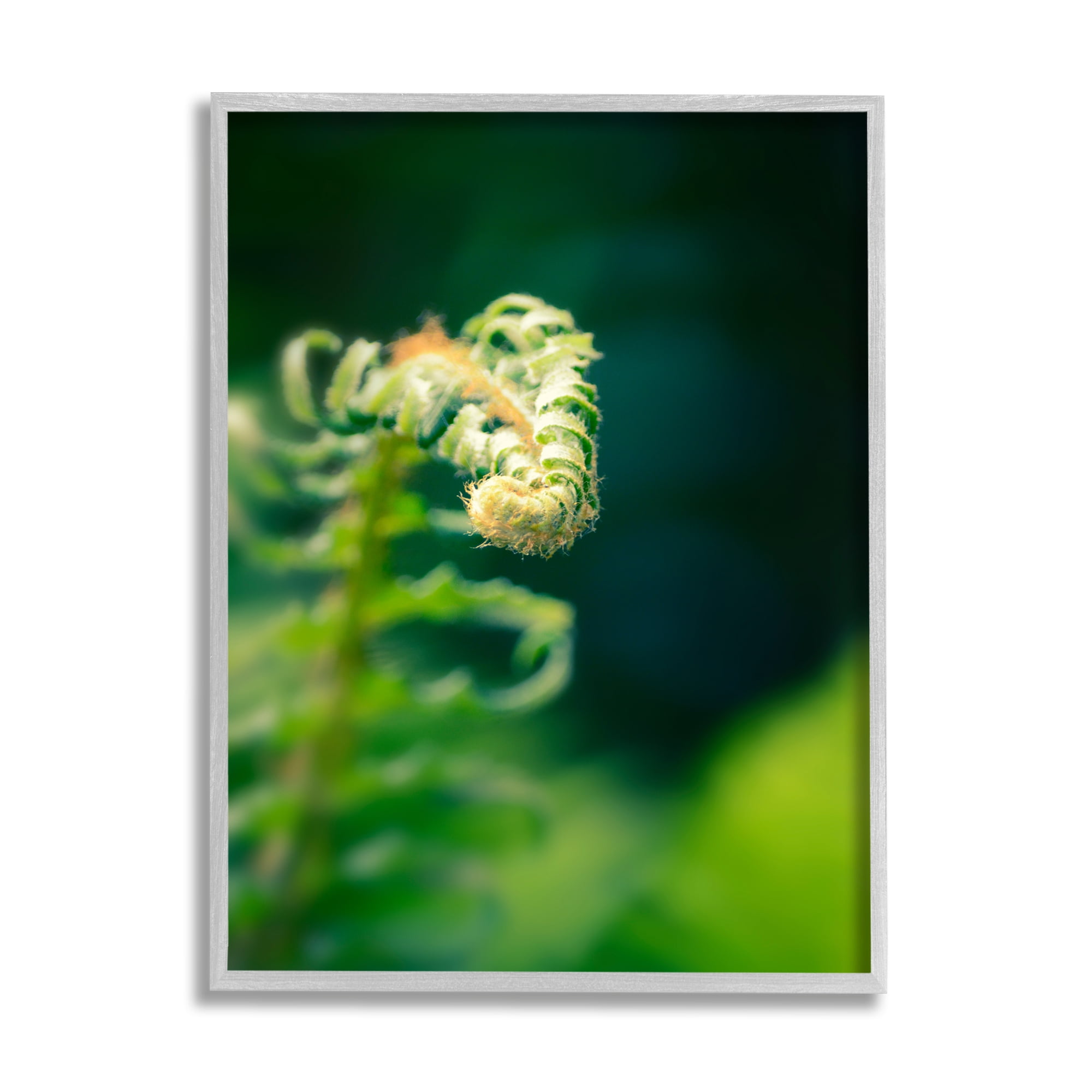 Stupell Fern Leaves Nature Photography Botanical & Floral Photography Gray Framed Art Print Wall Art