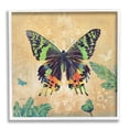 thumbnail image 1 of Stupell Floral Butterfly Vintage Pattern Animals & Insects Painting White Framed Art Print Wall Art, 1 of 7