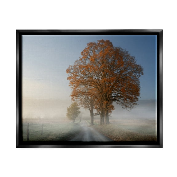 Stupell Foggy Road Sycamore Tree Landscape Photography Black Floater Framed Art Print Wall Art