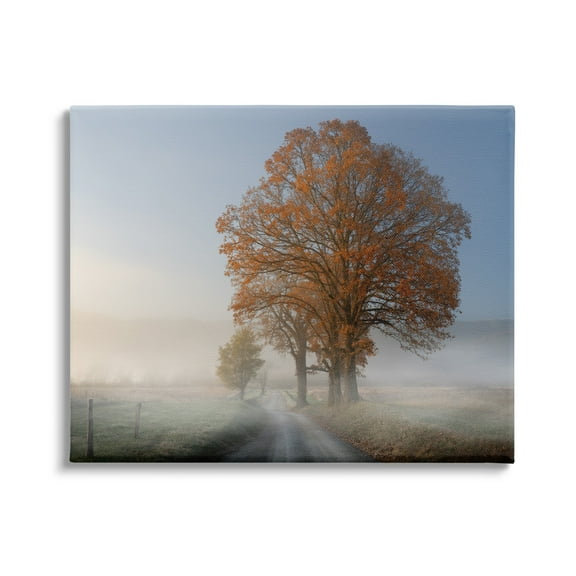 Stupell Foggy Road Sycamore Tree Landscape Photography Gallery Wrapped Canvas Print Wall Art