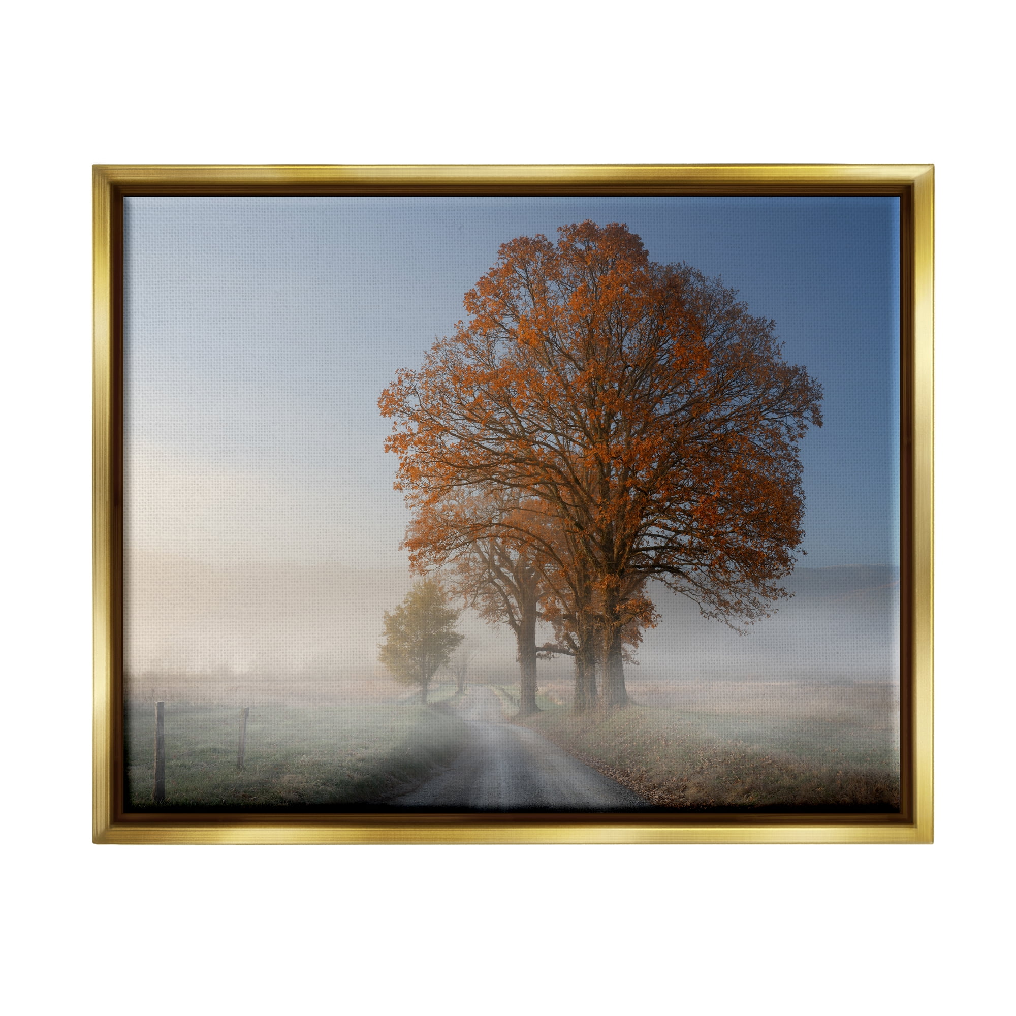 Stupell Foggy Road Sycamore Tree Landscape Photography Gold Floater Framed Art Print Wall Art