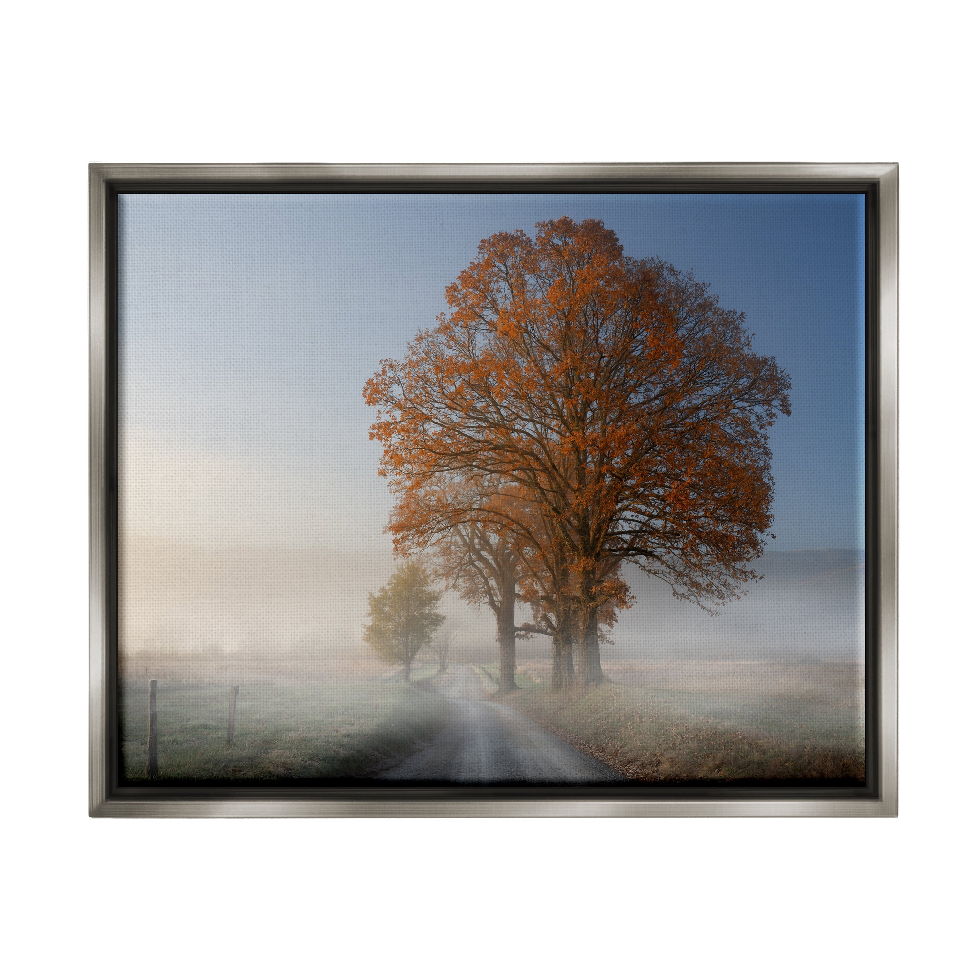 Stupell Foggy Road Sycamore Tree Landscape Photography Gray Floater Framed Art Print Wall Art