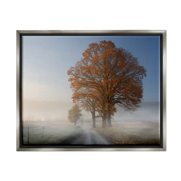 Stupell Foggy Road Sycamore Tree Landscape Photography Gray Floater Framed Art Print Wall Art