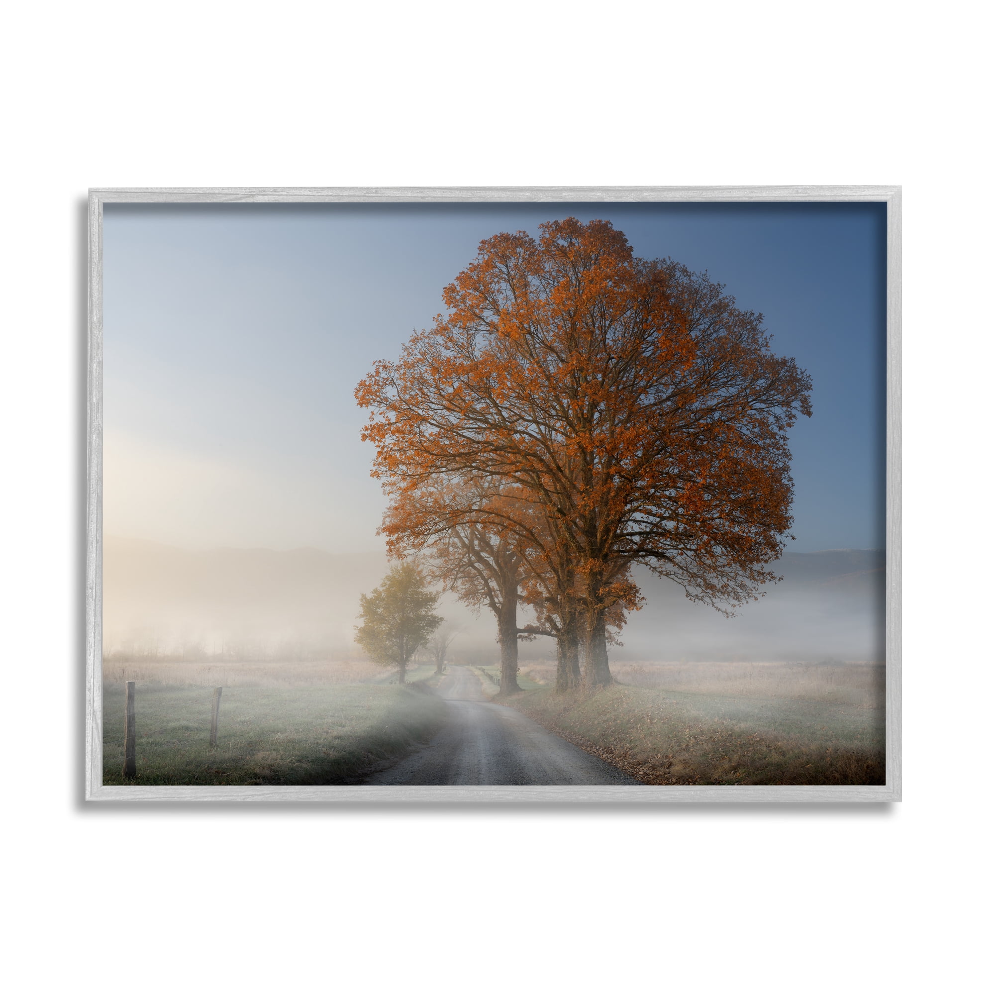Stupell Foggy Road Sycamore Tree Landscape Photography Gray Framed Art Print Wall Art