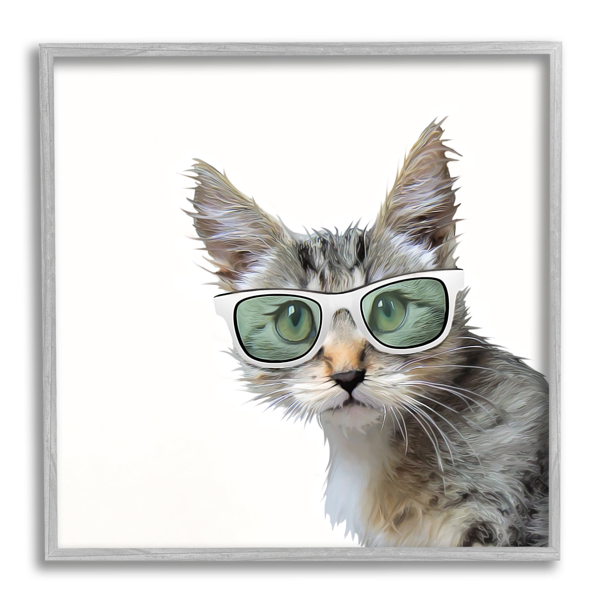 Stupell Fun Cat Sunglasses Portrait Animals & Insects Painting Gray Framed Art Print Wall Art
