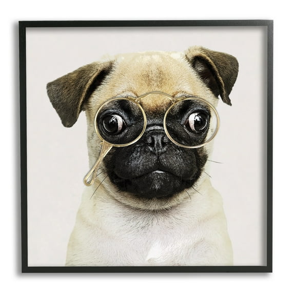 Stupell Fun Pug Vintage Glasses Animals & Insects Painting Black Framed Art Print Wall Art