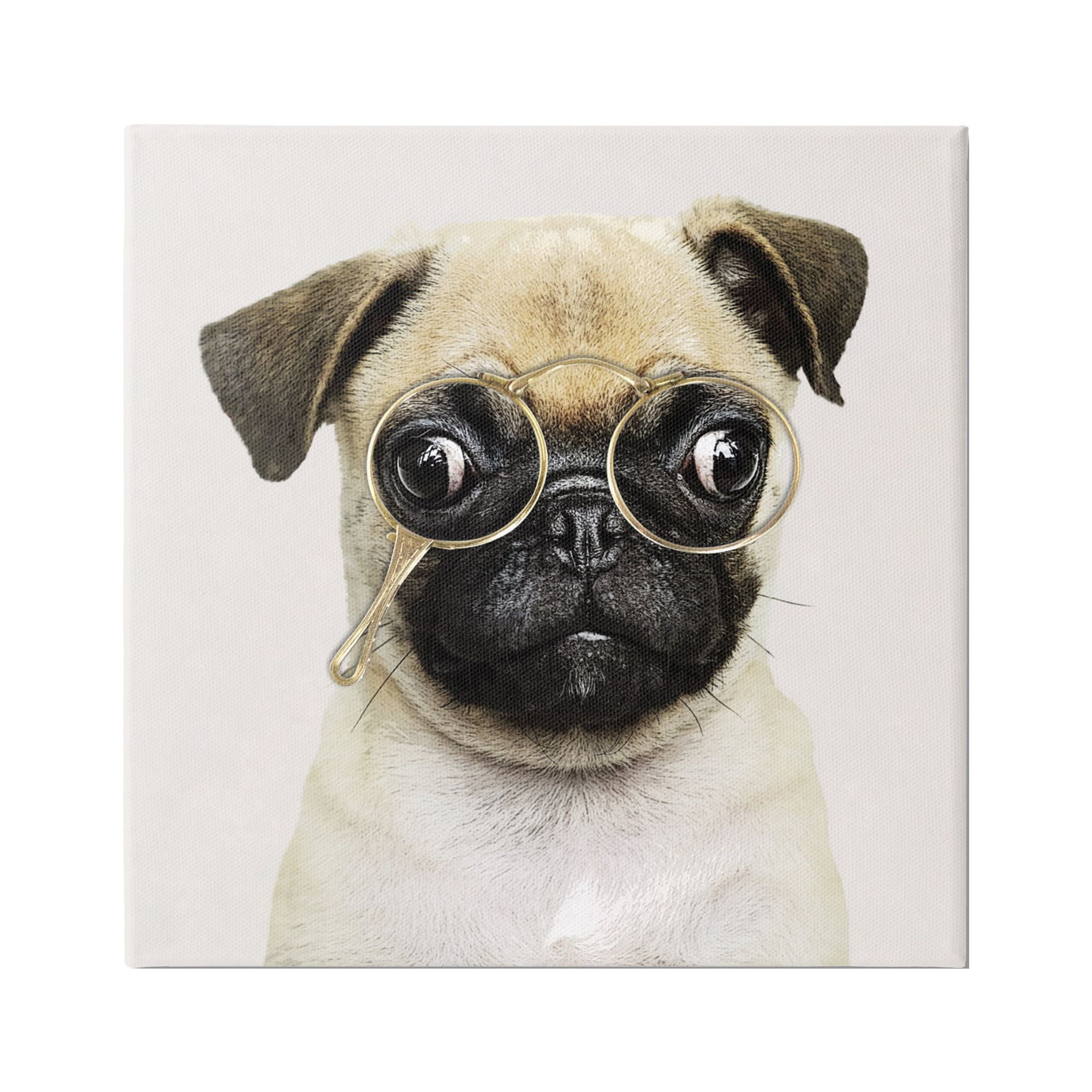 Stupell Fun Pug Vintage Glasses Animals & Insects Painting Gallery Wrapped Canvas Print Wall Art