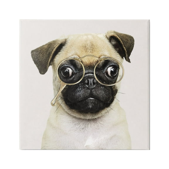 Stupell Fun Pug Vintage Glasses Animals & Insects Painting Gallery Wrapped Canvas Print Wall Art