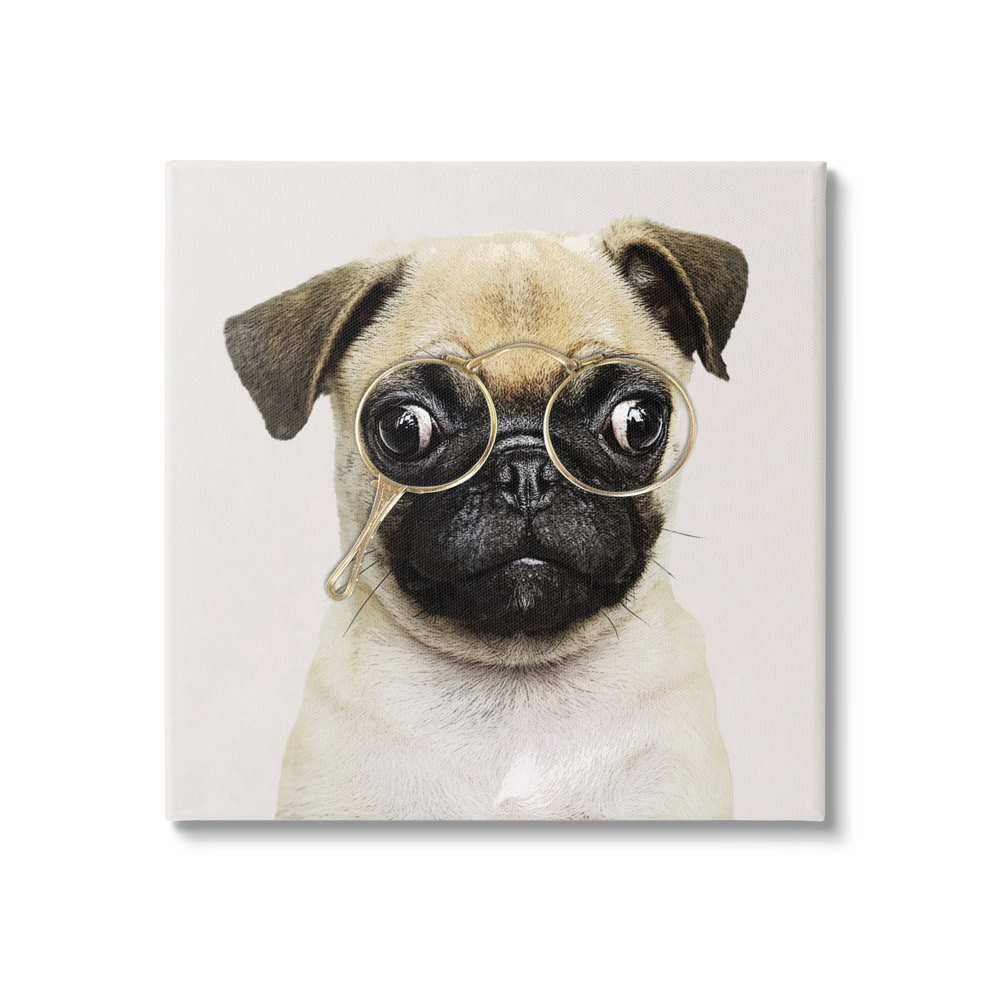 Stupell Fun Pug Vintage Glasses Animals Insects Painting Gallery Wrapped Canvas Print Wall Art Walmart