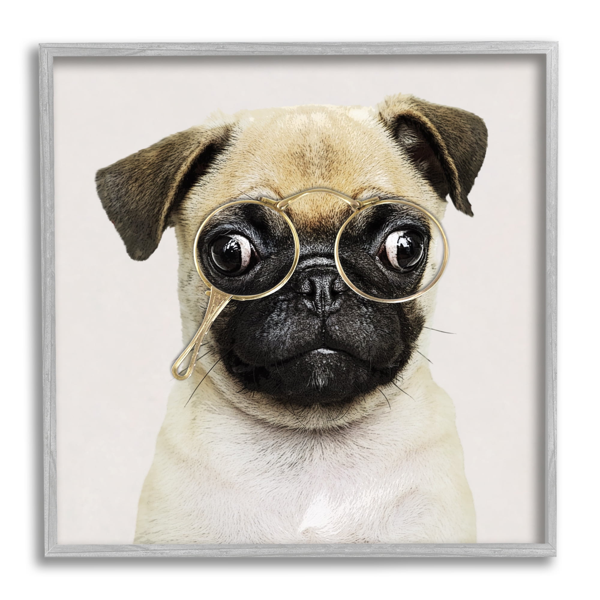 Stupell Fun Pug Vintage Glasses Animals & Insects Painting Gray Framed Art Print Wall Art