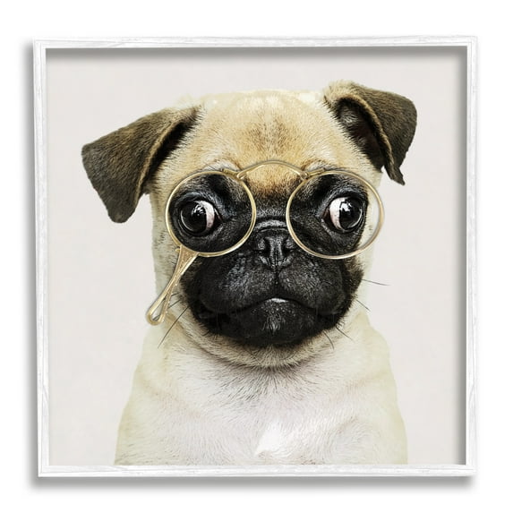 Stupell Fun Pug Vintage Glasses Animals & Insects Painting White Framed Art Print Wall Art