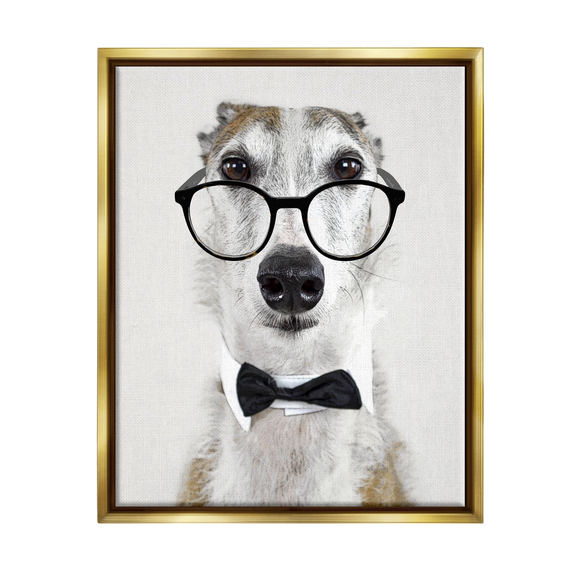 Stupell Funny Dog Formal Bowtie Glasses Animals & Insects Painting Gold Floater Framed Art Print Wall Art