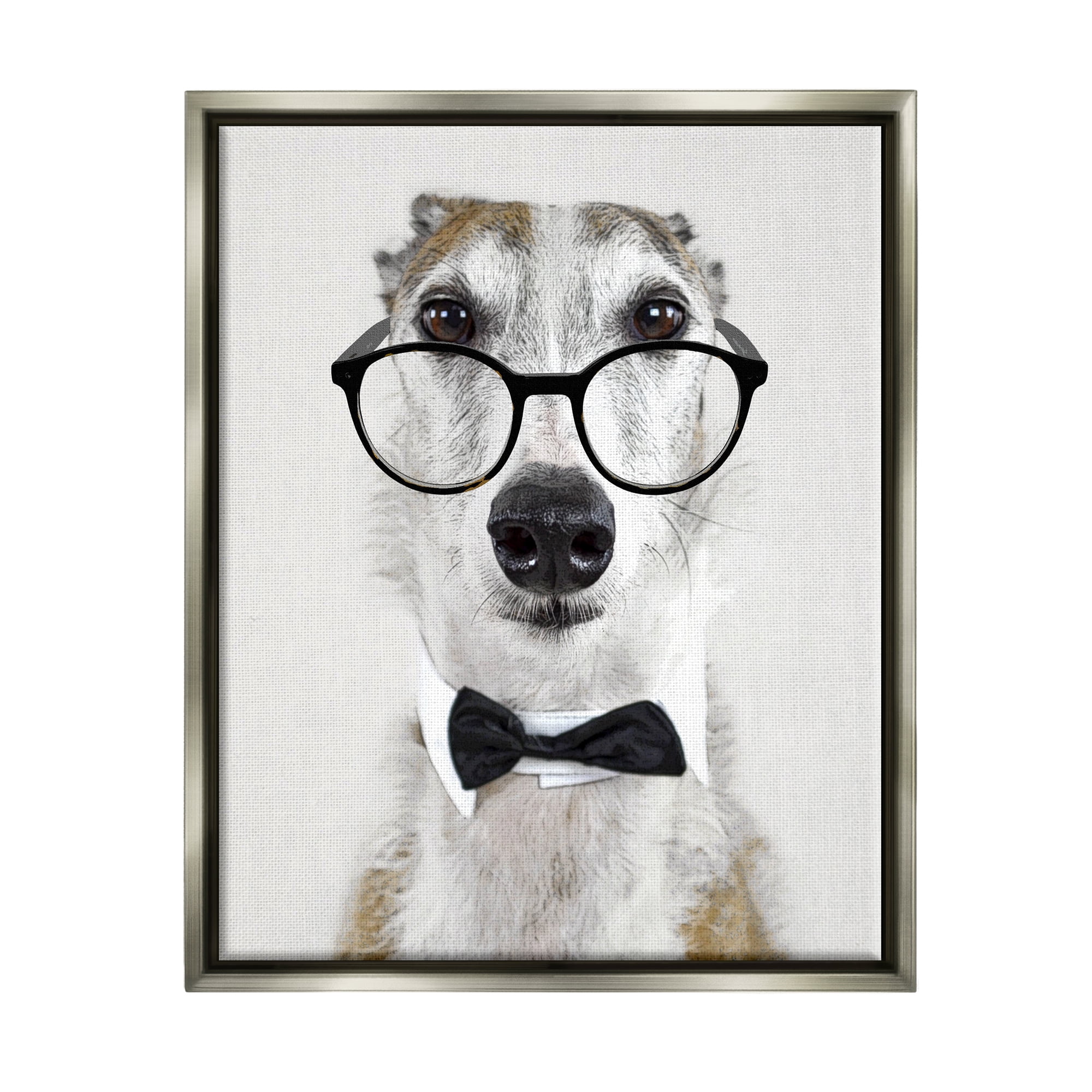 Stupell Funny Dog Formal Bowtie Glasses Animals & Insects Painting Gray Floater Framed Art Print Wall Art