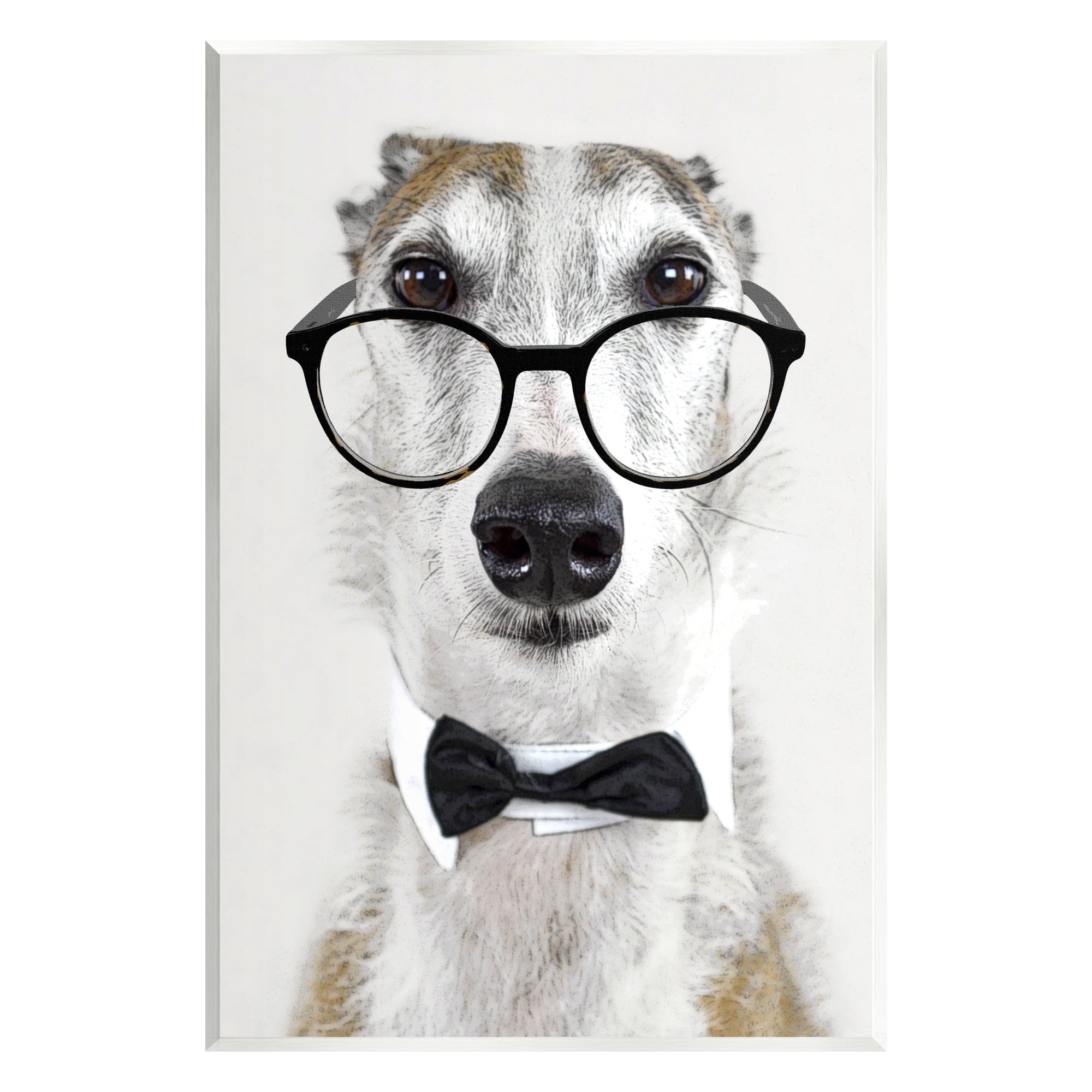 Stupell Funny Dog Formal Bowtie Glasses Animals & Insects Painting Wall Plaque Unframed Art Print Wall Art