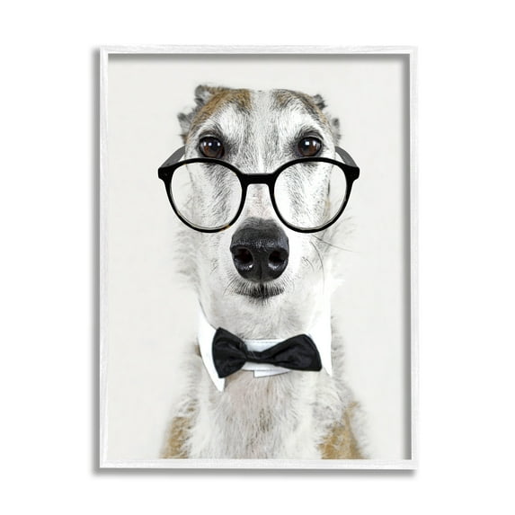 Stupell Funny Dog Formal Bowtie Glasses Animals & Insects Painting White Framed Art Print Wall Art