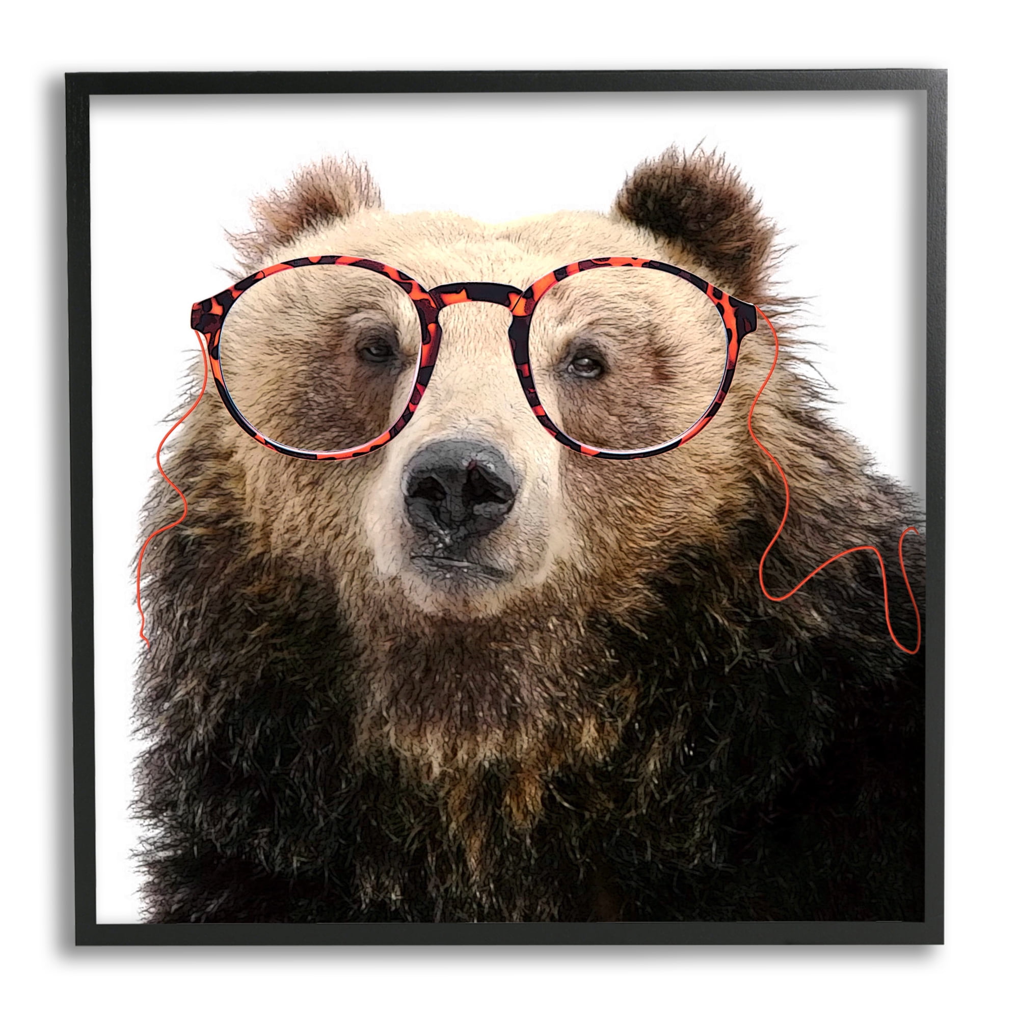 Stupell Funny Grizzly Bear Wearing Glasses Animals & Insects Painting Black Framed Art Print Wall Art